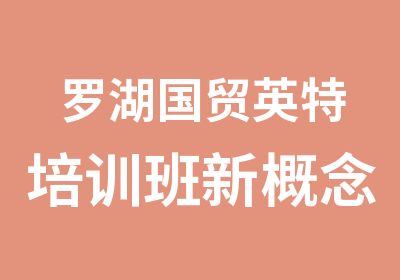 罗湖国贸英特培训班新概念英语培训班