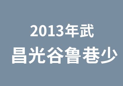 2013年武昌光谷鲁巷少儿美术暑假班少儿