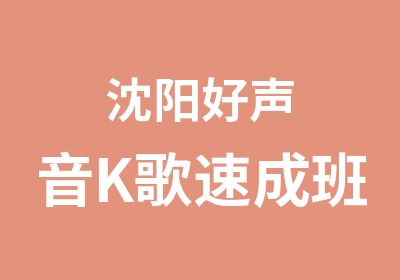 沈阳好声音K歌速成班