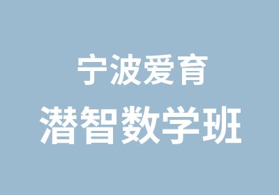 宁波爱育潜智数学班