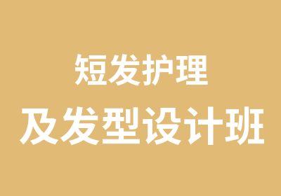 短发护理及发型设计班