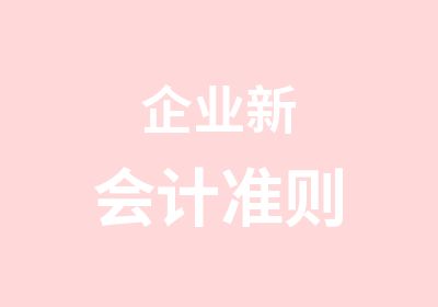 企业新会计准则