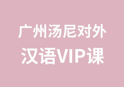 广州汤尼对外汉语VIP课程辅导班