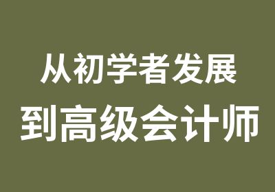 从初学者发展到高级会计师