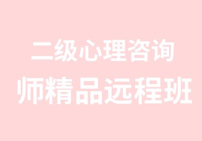 二级心理咨询师精品远程班