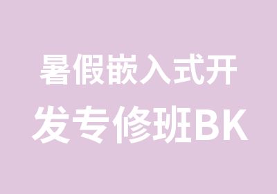 暑假嵌入式开发专修班BK93