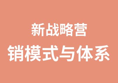 新战略营销模式与体系