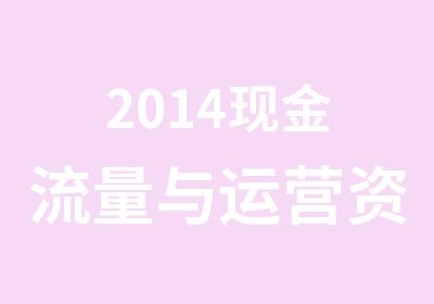 2014现金流量与运营资金管理