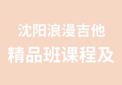 沈阳浪漫吉他精品班课程及私教课程