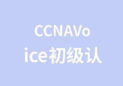 CCNAVoice初级认证培训
