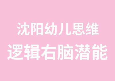 沈阳幼儿思维逻辑右脑潜能开发训练