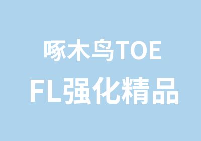 啄木鸟TOEFL强化精品班