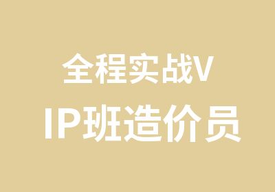 全程实战VIP班造价员