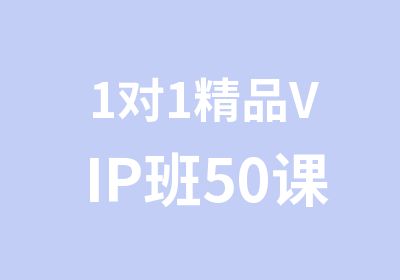 1对1精品VIP班50课时冲刺