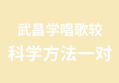 武昌学唱歌较科学方法教声乐，视唱练耳乐理！