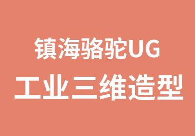 镇海骆驼UG工业三维造型