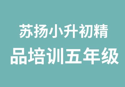 苏扬精品培训五年级以上