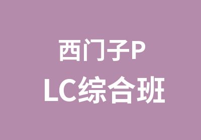 西门子PLC综合班