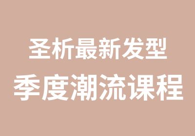 圣析新发型季度潮流课程