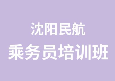 沈阳民航乘务员培训班