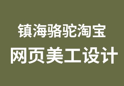 镇海骆驼网页美工设计