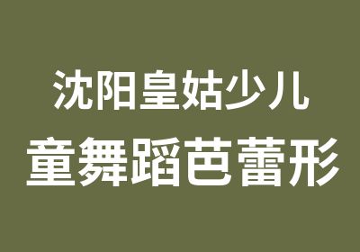 沈阳皇姑少儿童舞蹈芭蕾形体