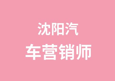 沈阳汽车营销师