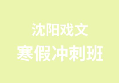 沈阳戏文寒假冲刺班