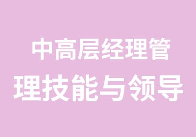 中高层经理管理技能与领导力研修