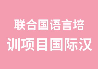 联合国语言培训项目国际汉语教师精品班