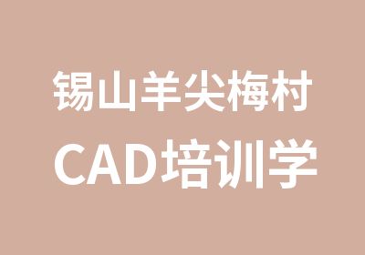 锡山羊尖梅村CAD培训学信教育专业