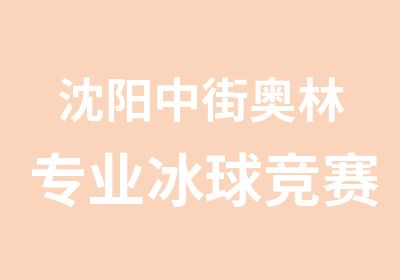 沈阳中街奥林专业冰球训练班