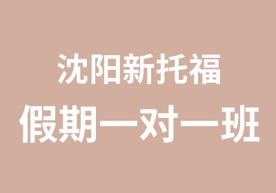 沈阳新托福假期班