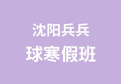 沈阳兵兵球寒假班