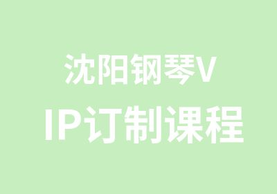 沈阳钢琴VIP订制课程