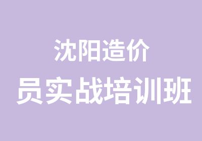 沈阳造价员实战培训班