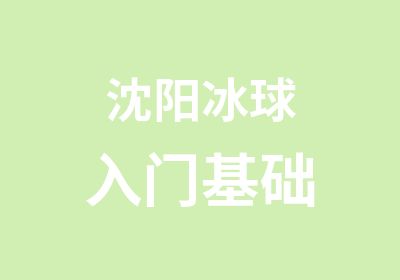 沈阳冰球入门基础