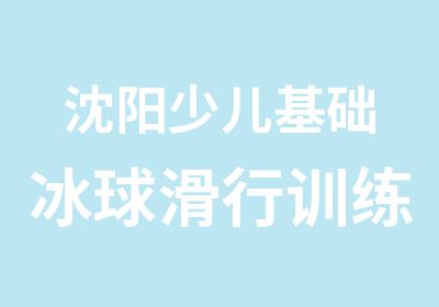 沈阳少儿基础冰球滑行训练