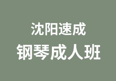 沈阳速成钢琴成人班