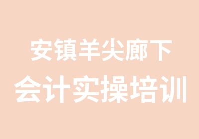 安镇羊尖廊下会计实操培训