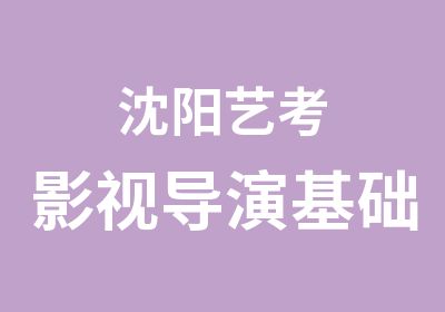 沈阳艺考影视导演基础