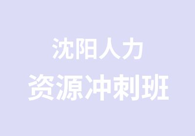 沈阳人力资源冲刺班