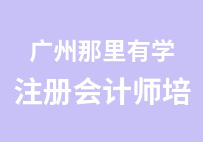 广州那里有学注册会计师培训