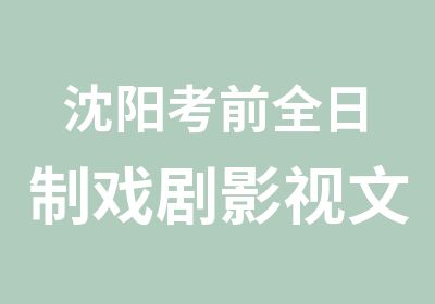 沈阳考前戏剧影视文学班