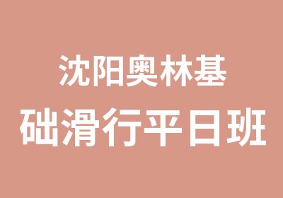 沈阳奥林基础滑行平日班