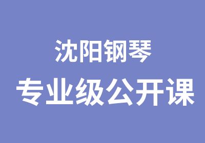 沈阳钢琴专业级公开课