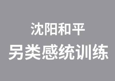 沈阳和平另类感统训练