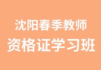 沈阳春季教师资格证学习班