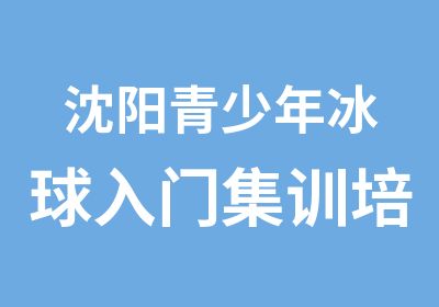 沈阳青少年冰球入门集训培训