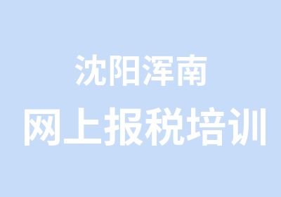 沈阳浑南网上报税培训